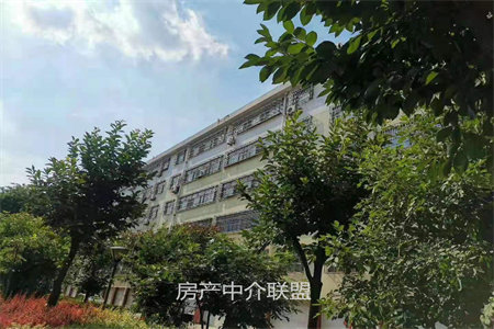 忆丰小区2室1厅1卫77㎡，随时看房